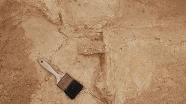 Excavación arqueológica (imagen referencial) - Sputnik Afrique
