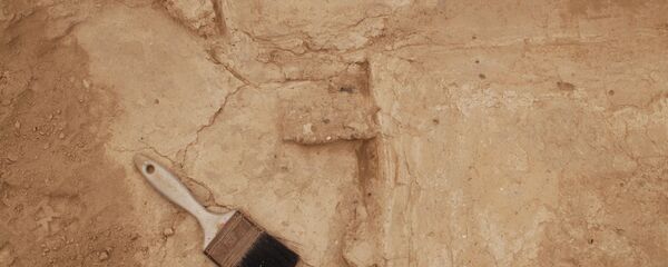 Fouilles (image d'illustration) - Sputnik Afrique