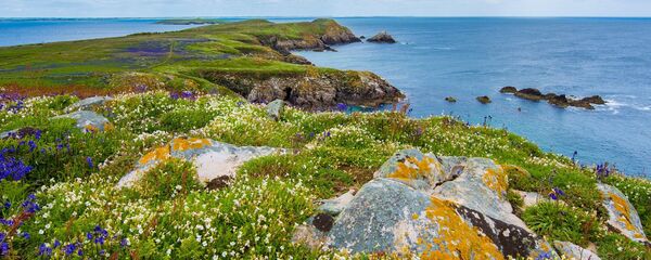 arctique - Sputnik Afrique