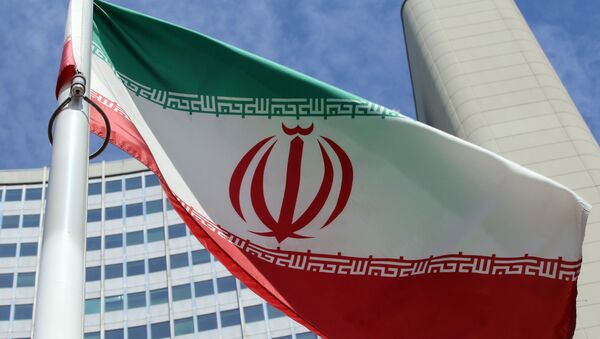 Le drapeau iranien - Sputnik Afrique