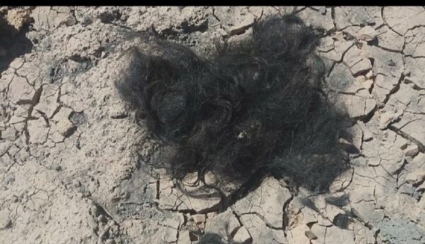 Les terroristes abandonnent leurs positions dans le sud de la Syrie - Sputnik Afrique