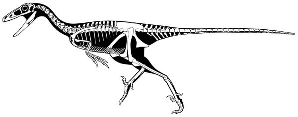 Troodon inequalis Troodon inequalis - Sputnik Afrique