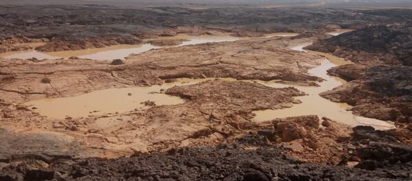 L'armée syrienne lutte contre Daech dans les roches volcaniques du désert de Soueïda - Sputnik Afrique