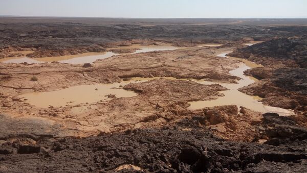 Stocks d'eau douce dans le désert de Soueïda - Sputnik Afrique