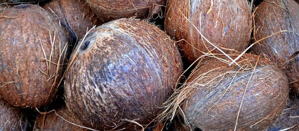 Noix de coco - Sputnik Afrique