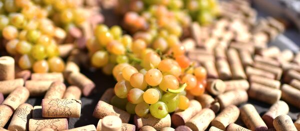 Raisins Raisins - Sputnik Afrique