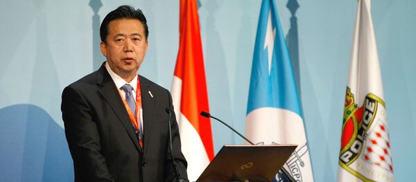 Meng Hongwei - Sputnik Afrique