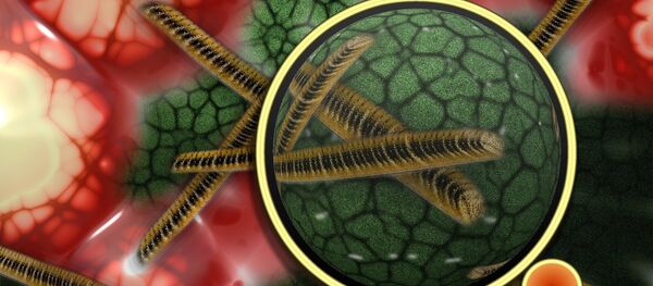 microbes - Sputnik Afrique