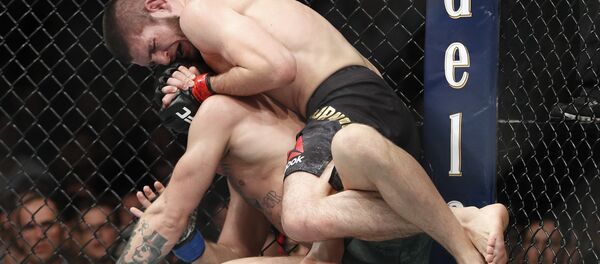 Khabib Nurmagomedov et McGregor - Sputnik Afrique