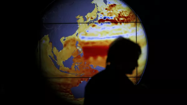 UN-Klimagipfel in Paris - Sputnik Afrique