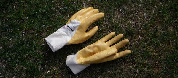 Des gants - Sputnik Afrique