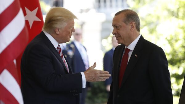 Donald Trump et Recep Tayyip Erdogan (image d'illustration) - Sputnik Afrique