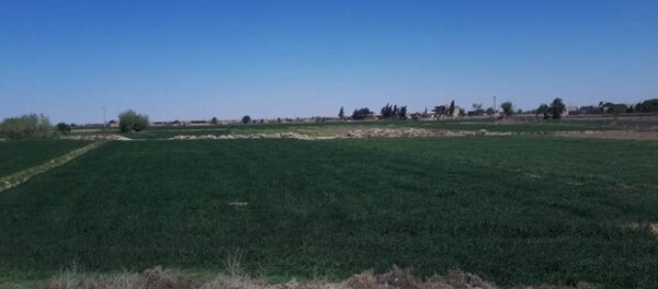 Deir ez-Zor, Syrie (image d'illustration) - Sputnik Afrique