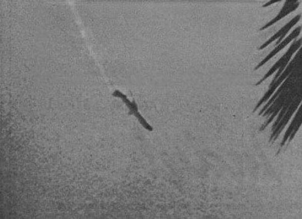 Crash du DC-9 dAeromexico en 1986 - Sputnik Afrique