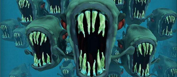 Des poissons qui font peur (image d'illustration) Des poissons qui font peur (image d'illustration) - Sputnik Afrique