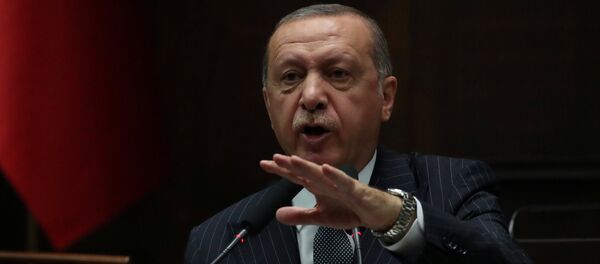 Erdogan - Sputnik Afrique
