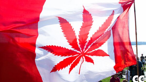 La bandera de Canadá con la imagen de canábis en vez de una hoja de arce (imagen referencial) - Sputnik Afrique