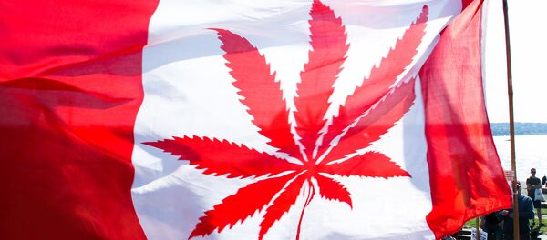 La bandera de Canadá con la imagen de canábis en vez de una hoja de arce (imagen referencial) - Sputnik Afrique