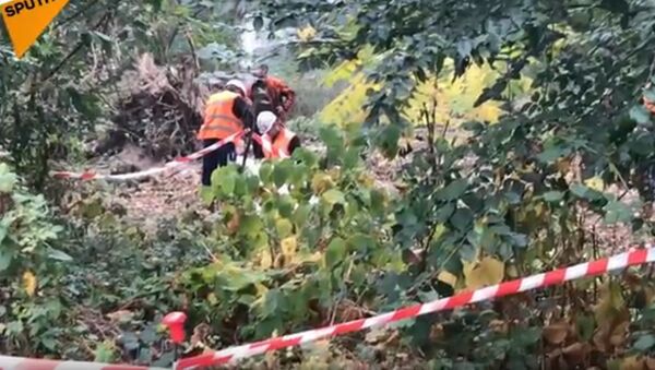 À 7 km de Paris, 29ha de «forêt à défendre» contre Valérie Pécresse - Sputnik Afrique