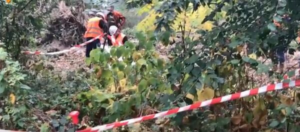 À 7 km de Paris, 29ha de «forêt à défendre» contre Valérie Pécresse - Sputnik Afrique