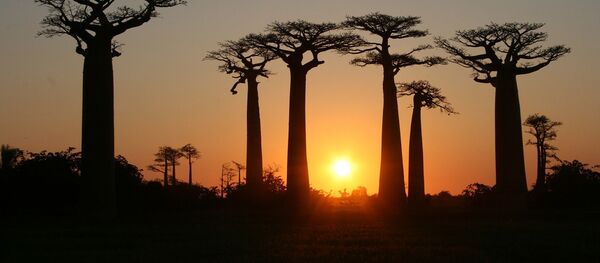 Les miracles de la nature à voir avant qu'ils disparaissent - Sputnik Afrique