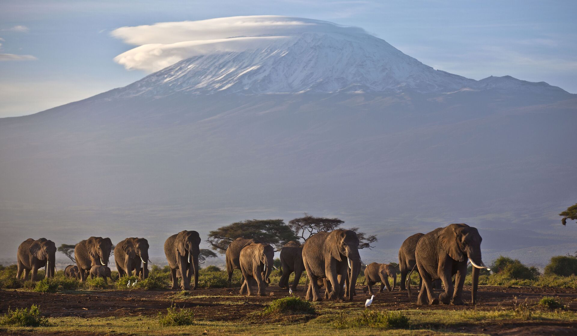 Kilimandjaro  - Sputnik Afrique, 1920, 06.02.2024