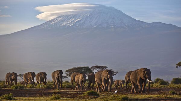 Kilimandjaro  - Sputnik Afrique