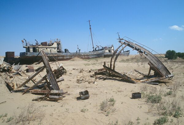 Les épaves de bateaux gisant sur lancien fond de la mer dAral Les épaves de bateaux gisant sur lancien fond de la mer dAral - Sputnik Afrique