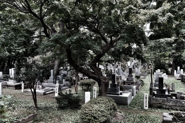 Le cimetière Zōshigaya - Sputnik Afrique
