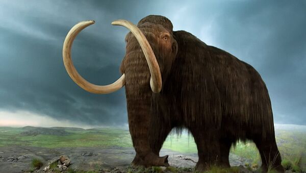 Mammoth model at the Royal BC Museum - Sputnik Afrique