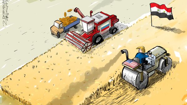 La Russie créera en Syrie le plus important centre d'exportation de blé au Proche-Orient - Sputnik Afrique