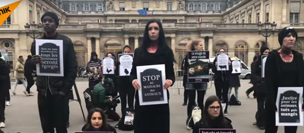 Des vegan imitent des «égorgements» pour dénoncer les cruautés faites aux animaux - Sputnik Afrique