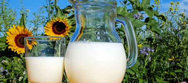 lait - Sputnik Afrique