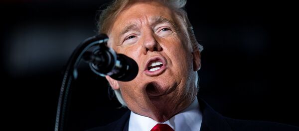 Donald Trump, presidente de EEUU Donald Trump, presidente de EEUU - Sputnik Afrique