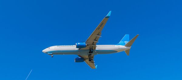 Un Boeing 737 - Sputnik Afrique