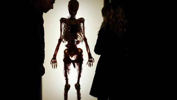 Посетители на выставке Тайны тела. Вселенная внутри - Sputnik Afrique