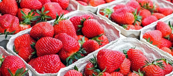 Des fraises - Sputnik Afrique