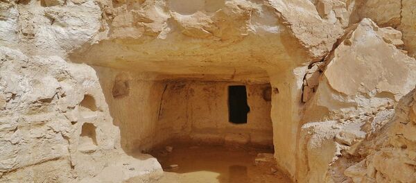 Désert du Néguev - Sputnik Afrique