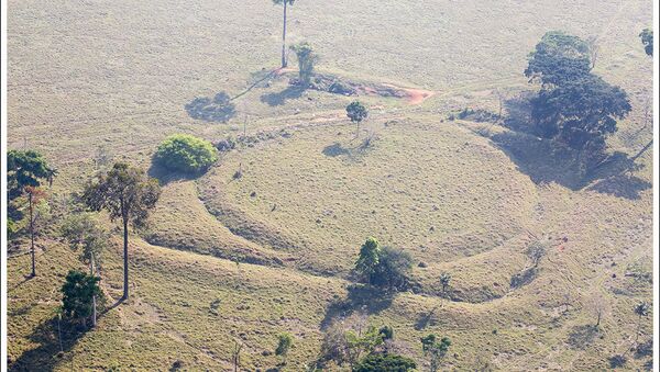 Le Brésil tient à préserver les mystérieux géoglyphes d’Amazonie - Sputnik Afrique