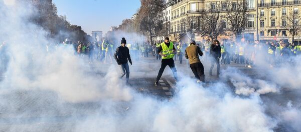 Акции протеста Желтые жилеты во Франции - Sputnik Afrique