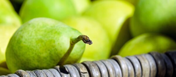poire poire - Sputnik Afrique