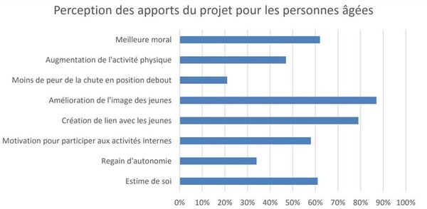 SilverGeek - Bilan du projet - Sputnik Afrique