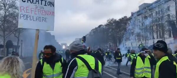 Les «gilets jaunes» entament l’acte 2 de la mobilisation à Paris, 24 novembre 2018 Les «gilets jaunes» entament l’acte 2 de la mobilisation à Paris, 24 novembre 2018 - Sputnik Afrique
