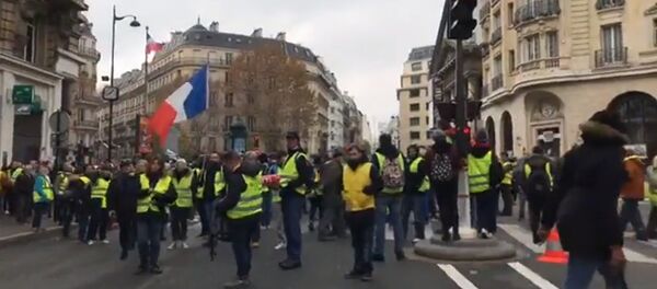 Les «gilets jaunes» entament l’acte 2 de la mobilisation à Paris, 24 novembre 2018 Les «gilets jaunes» entament l’acte 2 de la mobilisation à Paris, 24 novembre 2018 - Sputnik Afrique