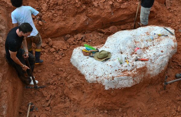 Déciouverte au Brésil d’une espèce de dinosaure jusqu’alors inconnue Déciouverte au Brésil d’une espèce de dinosaure jusqu’alors inconnue - Sputnik Afrique