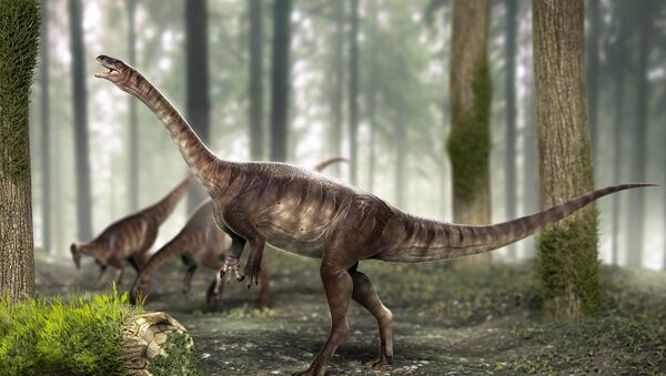 Comment le plus ancien dinosaure à long cou connu à ce jour a-t-il été découvert? - Sputnik Afrique