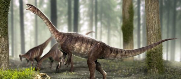 Comment le plus ancien dinosaure à long cou connu à ce jour a-t-il été découvert? - Sputnik Afrique