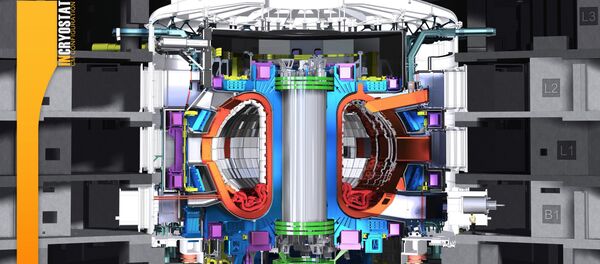 ITER Tokamak - Sputnik Afrique