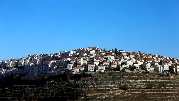 Houses are seen atop a hill in the Israeli settlement of Givat Ze'ev, in the occupied West Bank February 7, 2017 - Sputnik Afrique