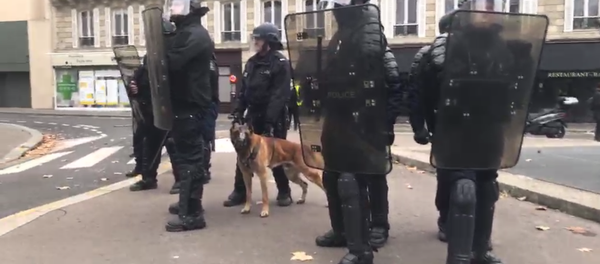 Gilets jaunes le 1 décembre à Paris - Sputnik Afrique